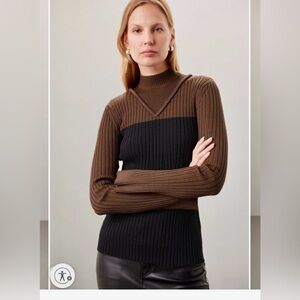 Women's Brown and Black Turtleneck Sweater